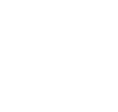 MERINEO